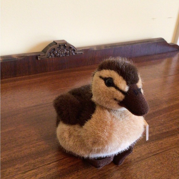 Kosen Duckling - Picture 3 of 4